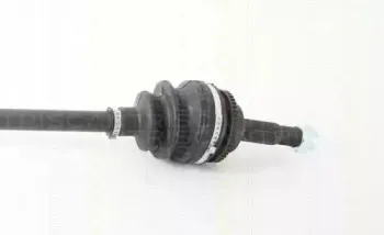 triscan-854013532