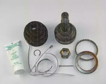 triscan-854014129