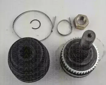 triscan-854014138