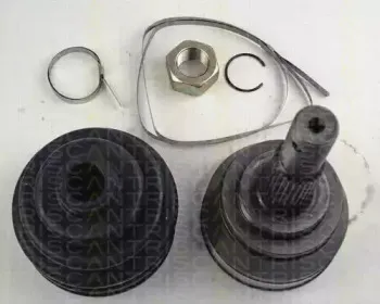 triscan-854014139