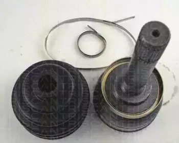 triscan-854014140