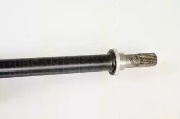 triscan-854014559