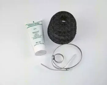 triscan-854014803