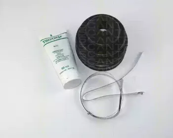 triscan-854014804