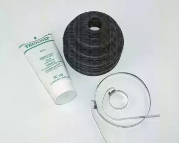 triscan-854014812