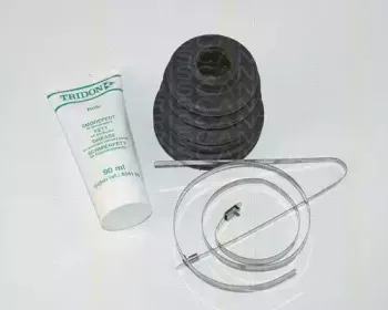triscan-854014814