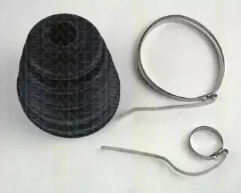 triscan-854014902