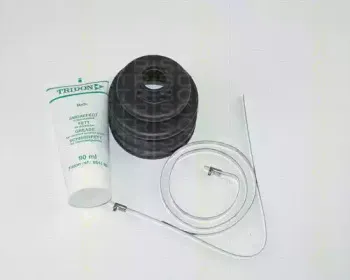 triscan-854014913