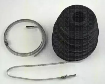 triscan-854014914