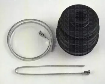 triscan-854014915
