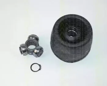 triscan-854015202
