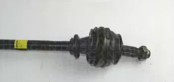 triscan-854015526