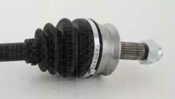 triscan-854015538