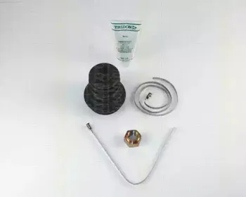 triscan-854015801