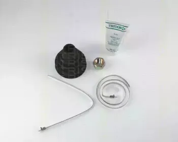 triscan-854015802