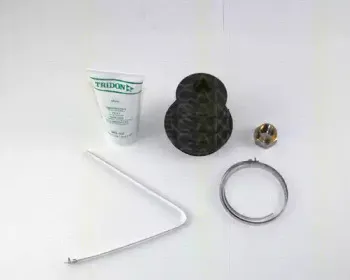 triscan-854015804