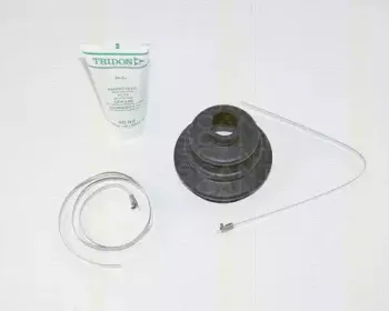 triscan-854015808