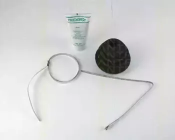 triscan-854015809