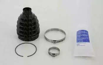 triscan-854015824