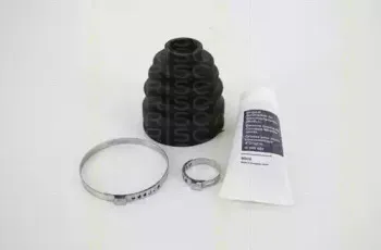 triscan-854015919