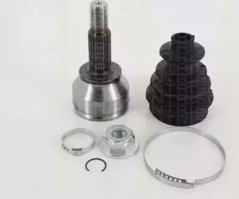 triscan-854016119