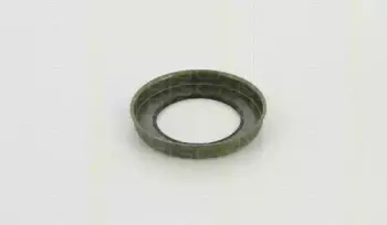 triscan-854016404