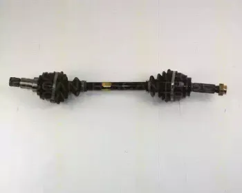 triscan-854016501