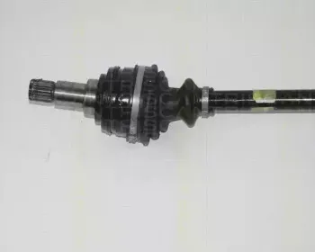 triscan-854016501