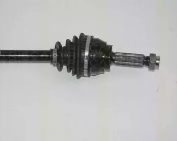 triscan-854016501