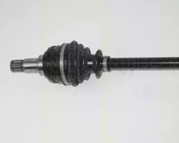 triscan-854016502