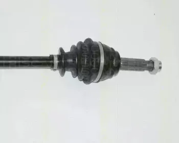 triscan-854016502
