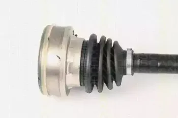 triscan-854016507