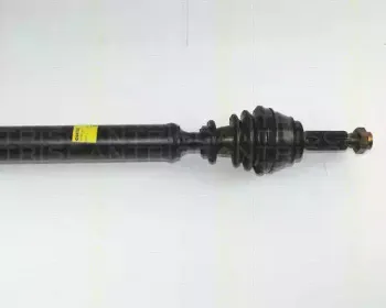 triscan-854016516