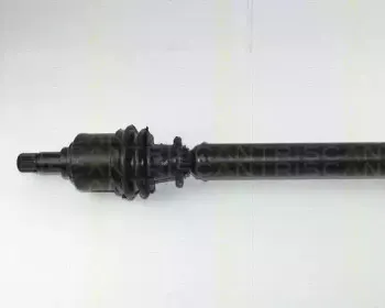 triscan-854016520
