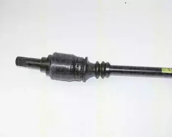 triscan-854016523