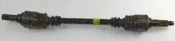 triscan-854016523