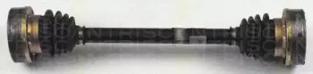 triscan-854016526