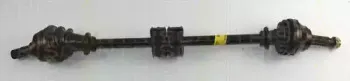 triscan-854016536