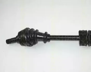 triscan-854016536