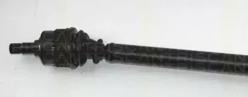 triscan-854016547
