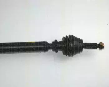 triscan-854016547