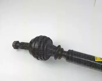 triscan-854016557