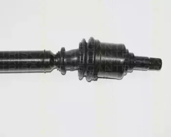 triscan-854016557