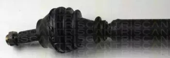 triscan-854016565