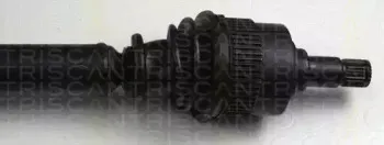 triscan-854016565