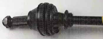 triscan-854016566