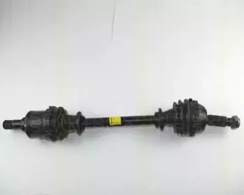 triscan-854016568