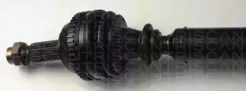 triscan-854016569
