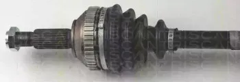 triscan-854016570
