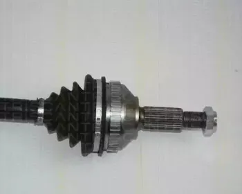 triscan-854016571